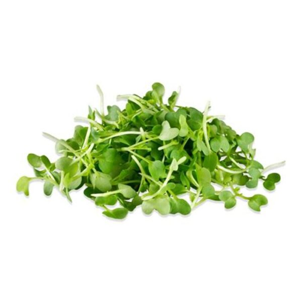 A-Grade Hydroponic Mustard Microgreen